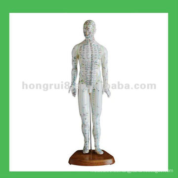 Modelo de Acupuntura Humano Chino, Modelo de Cuerpo Hombre de 18 &quot;